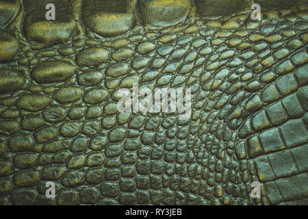 Closeup Textur von Krokodilleder Haut. Geeignet für den Einsatz im Hintergrund aus Leder Mode oder Tierschutz Artikel. Stockfoto