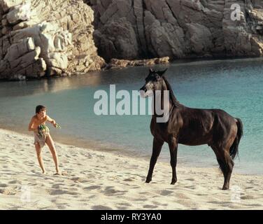 KELLY RENO, der schwarze Hengst, 1979 Stockfoto