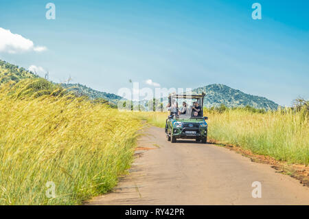 Authentische True South African Safari Erfahrung in buschfeld in einem Naturschutzgebiet Stockfoto