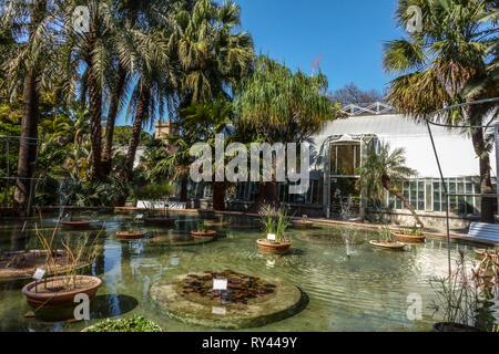 Botanischer Garten Valencia, Wasserpflanzen und Gewächshaus, Valencia Spanien Stockfoto