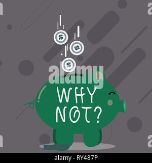 Wort schreiben Text Warum Notquestion. Business foto Präsentation geben mir ein Grund für die nicht etwas tun, sagen Sie nicht nein Stockfoto