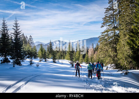 Gruppe der Erwachsenen Schneeschuhwandern thruogh einem Wald auf verschneite Plateau Kaiserau mit Berg Rottenmanner Tauern an einem sonnigen Wintertag in der Steiermark, Österreich Stockfoto