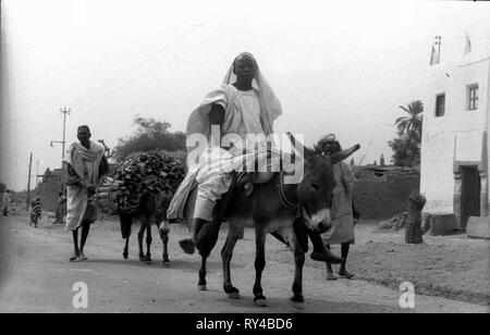 Männer Reiten Esel in Kamerun Afrika 1959 Stockfoto