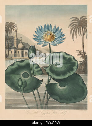 Der Tempel von Pflanzen oder Garten der Natur: Blaue ägyptische Seerose, 1804. Robert John Thornton (British, 1768-1837). Aquatinta Stockfoto