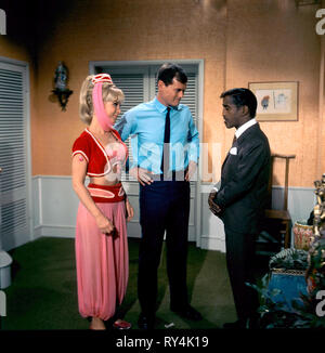 EDEN, HAGMAN, jr., ich träume von JEANNIE: Saison 2, 1967 Stockfoto