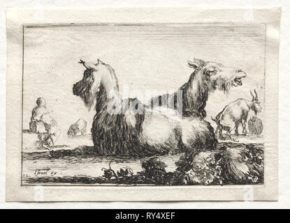 Caprices: zwei Ziegen. Stefano Della Bella (Italienisch, 1610-1664). Ätzen Stockfoto