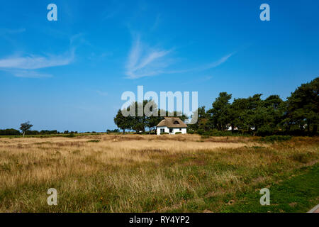 Idyllische Landschaft Landschaft mit Reed Haus auf der Insel Hiddensee Stockfoto