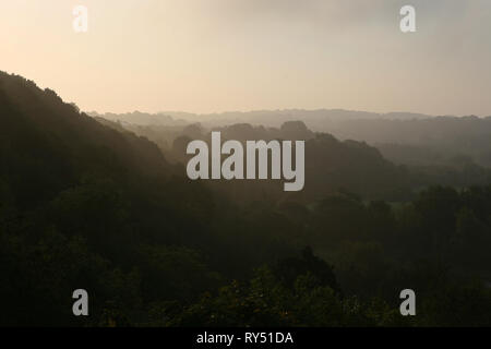 Blick vom Pontcysyllte Aquädukt: einem nebligen Morgen über Jeffrey's Holz und die Dee Valley, Vale von Llangollen, Wrexham, Wales Stockfoto