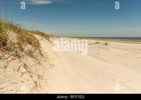 Sanddünen und Küstenlinie auf Jekyll Island, Georgia USA Stockfoto