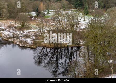 Lake Vyrnwy, RSPB Nature Reserve, Wales, UK. Foto am 3. Februar 2019 getroffenen fo Stockfoto