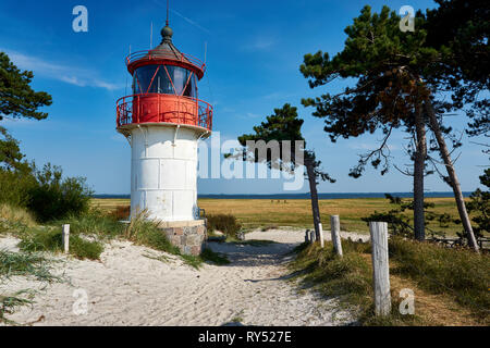 Postkarte Leuchtturm auf der Insel Hiddensee im Sommer Stockfoto