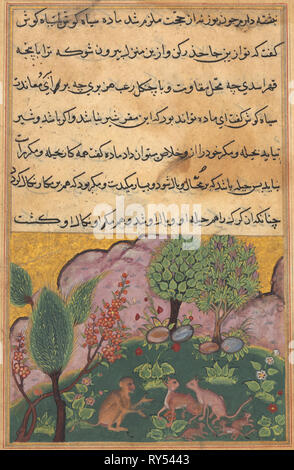 Tuti-Nama (Erzählungen von einem Papagei): Geschichte XXIX, C. 1560. Indien, Mughal, Herrschaft von Akbar, 16. Farbe und Gold auf Papier; insgesamt: 20 x 14,2 cm (7 7/8 x 5 9/16 Zoll Stockfoto