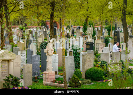 Nordfriedhof, Ungererstraße, Muenchen, Bayern, Deutschland Stockfoto