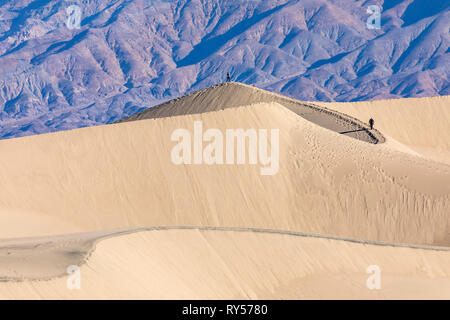 Mesquite Flat Sand Dunes ist ein ausgedehntes Gebiet von berggesäumten Sanddünen, die 100 Fuß erreichen und ein idealer Ort für Wanderer und Fotografen. Stockfoto