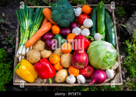 Ein vintage Holzkiste mit bunten Obst und Gemüse fördert gesunde Frische vegane Lebensmittel gefüllt Stockfoto