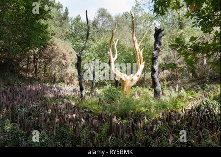 Frankreich, Ille et Vilaine, Paimpont, der goldene Baum im Wald von Broceliande Stockfoto