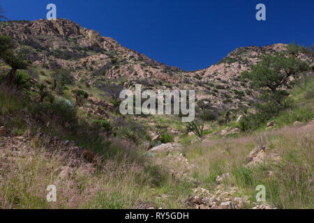 Sierra Purica, Mpo. Bacoachi, Sonora, Mexiko Stockfoto