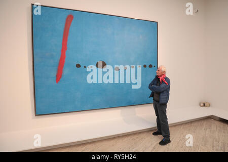 YANN arthus-bertrand an MIRO'S AUSSTELLUNG GRAND PALAIS PARIS Stockfoto