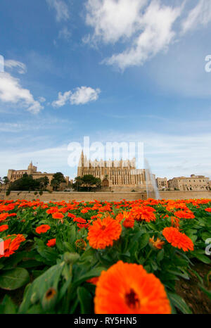 Palma de Mallorca Kathedrale sen aus der Nähe Parc de la Mar Park in der spanischen Insel Mallorca. Stockfoto