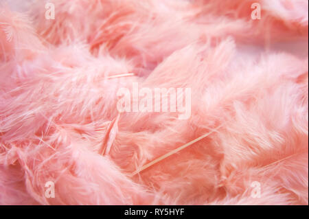 Feminine rosa Flauschige Hintergrund. pink zarte Federn Hintergrund. Stockfoto