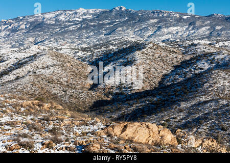 Rincon Mountains mit frischem Schnee, Redington, Tucson, Arizona Stockfoto