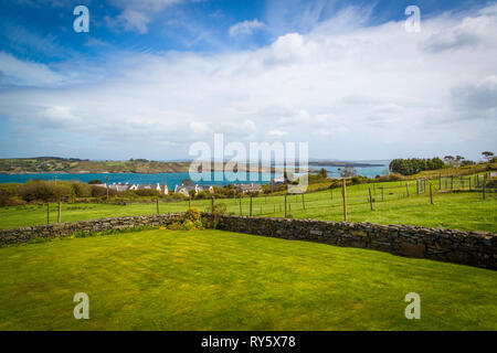 Grüne Felder in Schull Village, West Cork Stockfoto