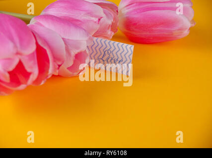 Rosa Tulpen auf dem gelben Hintergrund mit Liebesbrief Stockfoto