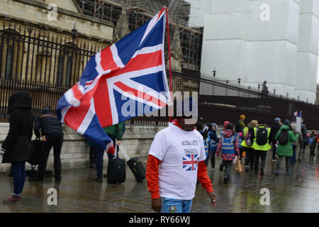 London, Großbritannien. 12. März, 2019. Pro-Brexit Aktivist zeigen gegenüber Westminster, London. 12. März 2019. Quelle: Thomas Krych/Alamy leben Nachrichten Stockfoto