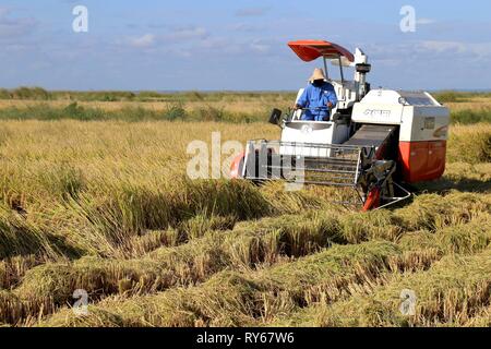 (190312) - Peking, 12. März 2019 (Xinhua) - ein Harvester ist bei Wanbao Reis Bauernhof in der Provinz Gaza, Mosambik, April 4, 2018 gesehen. (Xinhua) Stockfoto