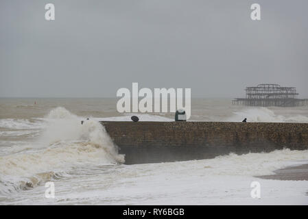 Brighton, England, UK. 12 Mär, 2019. Brighton, East Sussex. 12. März 2019. UK Wetter. Starke Winde und Meere sind überwiegend an der Küste von Brighton als Sturm Gareth Ansätze. Das Met Office hat eine gelbe Wetter Warnung für Wind ausgestellt, in der Erwartung, über Nacht verursachen mehr Unterbrechung zu stärken. Credit: Francesca Moore/Alamy leben Nachrichten Stockfoto