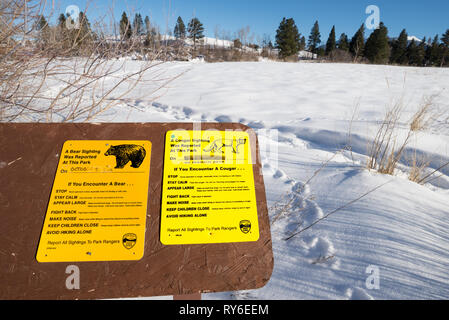 Bär und Mountain Lion Sichtung Zeichen, Iwetemlaykin, Weltkulturerbe, Oregon. Stockfoto