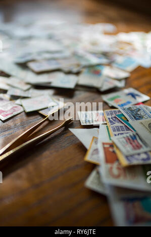 Close-up von Briefmarken mit einer Pinzette am Tisch zu Hause Stockfoto