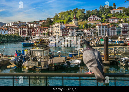 Port. Saint Jean de Luz. San Juan de Luz. Donibane Lohizune. Atlantische Pyrenäen Aquitania Region. Labort (lapurdi). Baskenland. Frankreich Stockfoto