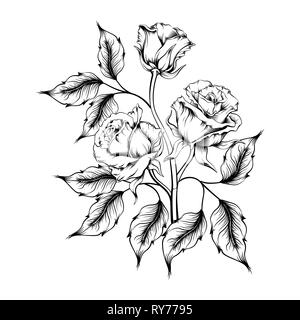 Rose Tattoo. Silhouette von Rosen und Blätter auf einem weißen Hintergrund. Linework Stil. Muster der Rosen Stock Vektor