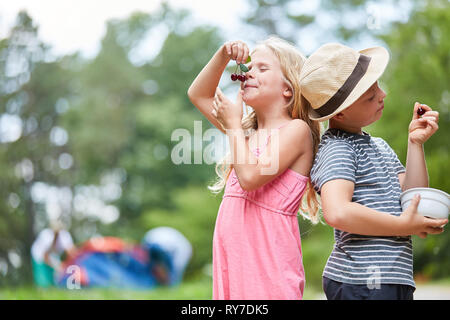 Zwei Kinder abholen und köstliche Kirschen zusammen essen im Sommer Ferien Stockfoto