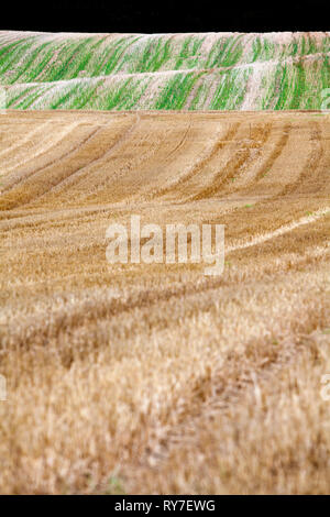 Eiszeitlich geformten Hügeln, Schleswig-Holstein, Deutschland, Europa Stockfoto