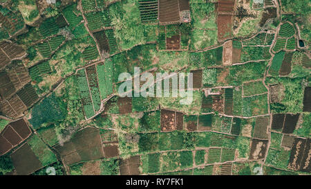 Ansicht von oben von drohne der ländlichen Landwirtschaft Plantage Felder in "CAMPANARIO", auf der Insel Madeira, Portugal. Stockfoto