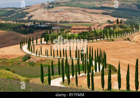 Toskana, Italien - Juli 5, 2018: Zypressen und Wiese mit typisch toskanisches Haus, Val d'Orcia, Italien - Toskana Stockfoto