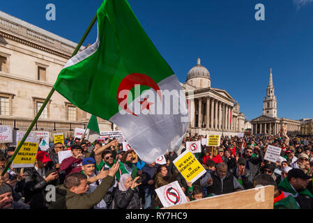 Algerien Protest in Trafalgar Square London, UK anspruchsvolle Präsident Abdelaziz Bouteflika s sofortigen Rücktritt und eine demokratische Regierung Stockfoto