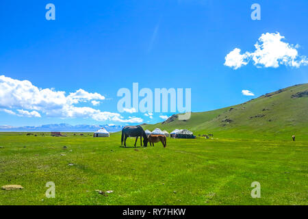 Song Kul See View Point mit Pferden Jurtencamp und Schneebedeckten Moldo zu Berge Landschaft Stockfoto