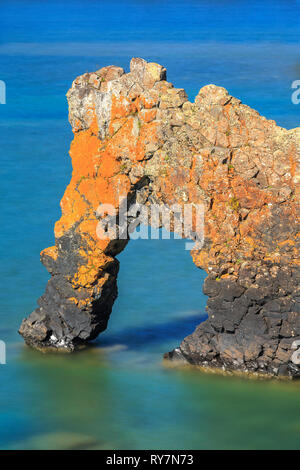 Die Sea Lion, Felsformation, Sleeping Giant Provincial Park, Ontario, Kanada. Stockfoto