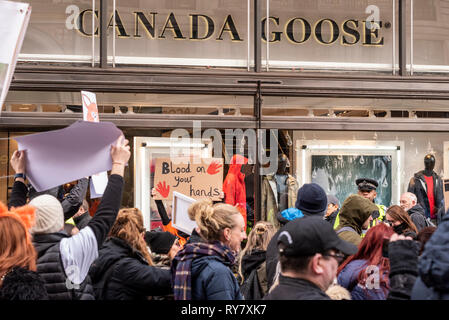 Demonstration gegen die mangelnde Durchsetzung von the fox hunting Ban in Großbritannien Demonstranten zu demonstrieren gegen Kanada Gans demonstrieren, wie Sie pass Stockfoto