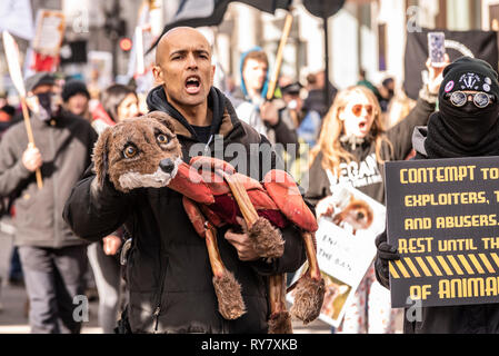 Demonstration gegen die mangelnde Durchsetzung von the fox hunting Ban in Großbritannien zu demonstrieren. Die Demonstranten, dass Fuchs Jagd stattfindet. Stockfoto