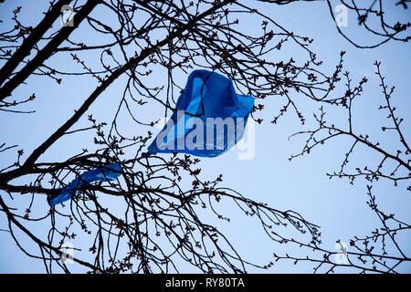 London. Hackney. Blaue Plastiktüte in Ästen verfangen. Stockfoto