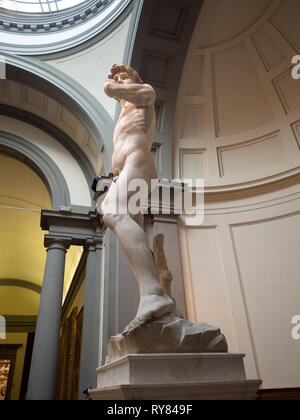 Figur des David von Michelangelo und in der Galerie der Akademie in Florenz ausgestellt. Stockfoto