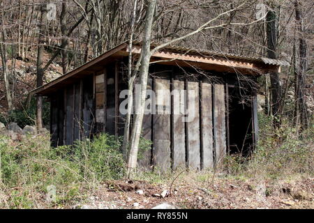 Improvisierte Holz- Hinterhof Geräteschuppen aus gebrochenen Boards an verlassenen Baustelle mit hohen Bäumen und dichtem Wald umgeben, getrocknet Stockfoto