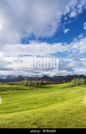 Golfplätze. Sonnige Landschaft mit grünem Gras und die Berge. Der Himmel mit Wolken. Island Stockfoto