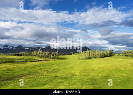 Golfplätze. Sonnige Landschaft mit grünem Gras und die Berge. Der Himmel mit Wolken. Island Stockfoto