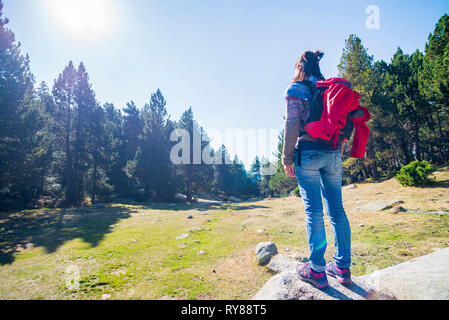 Ansicht der Rückseite des weiblichen Wanderer mit Rucksack steht auf Rock gegen klaren Himmel im Wald während der sonnigen Tag Stockfoto