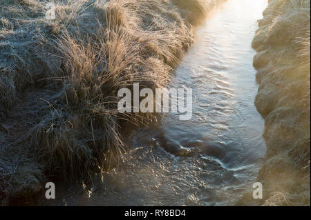 Fluss Dun durch frostigen Bereich, Normandie, Frankreich Stockfoto